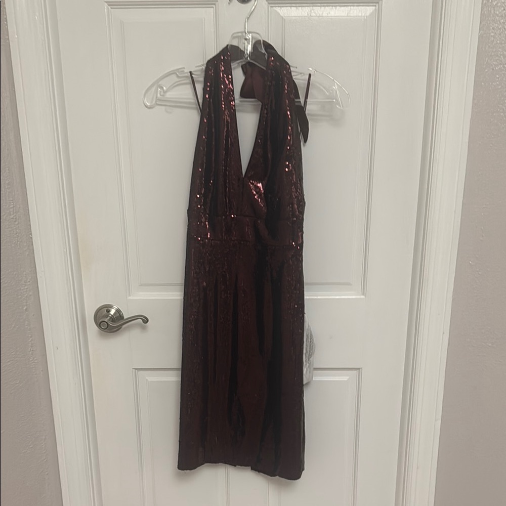Dress the Population Burgundy Sequin Mini Dress